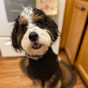 Meet your Posher, John